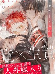网球王子漫画手账贴纸:记分牌与赛程格